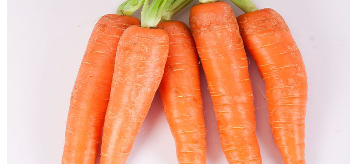 The British Carrot Growers Association (BCGA) Demonstration Day in Sherburn, North Yorkshire hosted by Huntapac, is on schedule for 5th October hortnews.com/carrot-demonst…  🥕🥕🥕