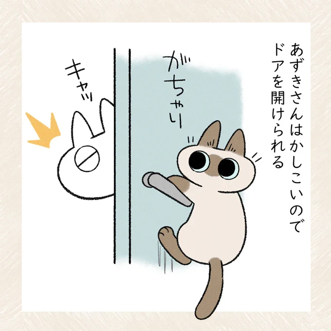 なぞ #シャム猫あずきさんは世界の中心