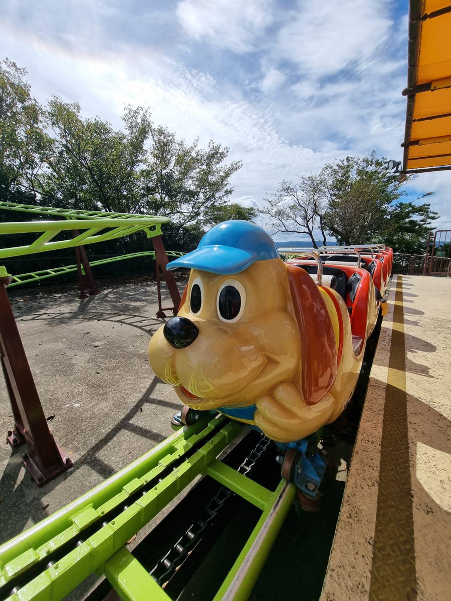 coastertrips's tweet photo. Found the brother of Holidog in Japan today @HolidayWorld 
#motherfarm https://t.co/Qae8xJJXZD