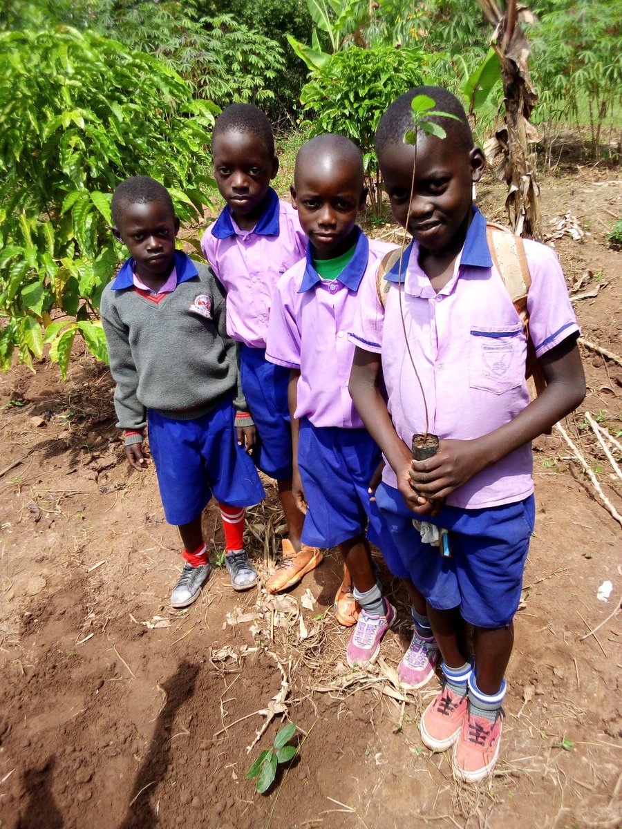 'Engaging pupils in conservation programs matters a lot. It opens their consciousness about our environment. Together, we can combat climate change, ensure food security  using agroforestry  🌍💚 #ConservationMatters #ClimateAction #Agroforestry #DonateForChange 🌱🌟