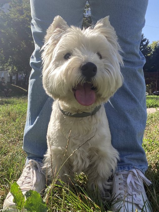 Babes 😍🥺 https://t.co/qUULZx2zAO<a href="/tag/tattoomodel"class="tags"><span>#tattoomodel</span></a><a href="/tag/seethrough"class="tags"><span>#seethrough</span></a><a href="/tag/alternative"class="tags"><span>#alternative</span></a><a href="/tag/tryonhaul"class="tags"><span>#tryonhaul</span></a>