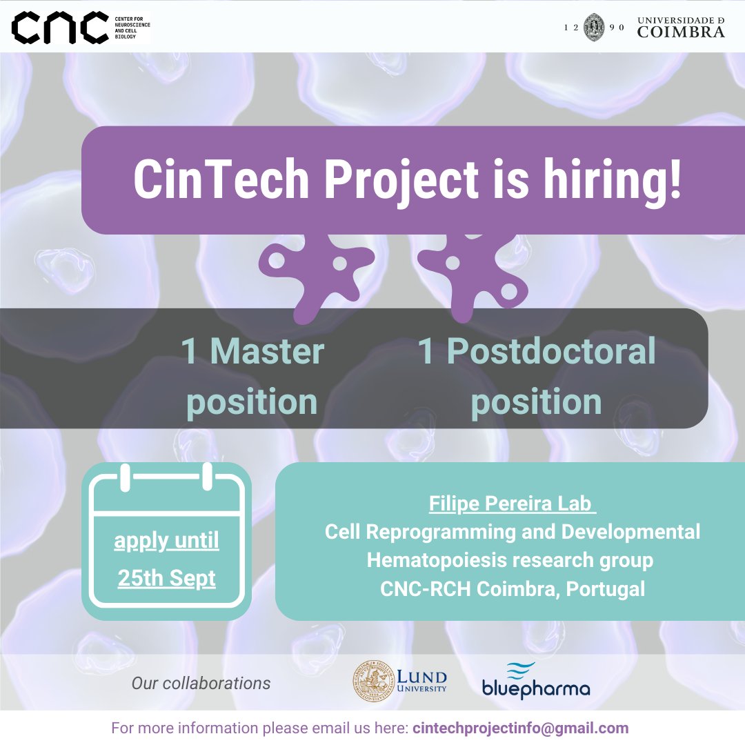 📢 The Pereira Lab is hiring a Postdoc and a researcher with an MSc to join the Cintech project! ➡️ join us to advance our projects at the interface of #CellReprogramming and #Cancer #Immunotherapy Apply here until the 25th of September: 📥 forms.gle/JyWmo2VanxrPoy…