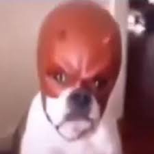 Hapmis's tweet photo. @barnosnail I saw this shit when it was in the drafts https://t.co/LFSxoBMgwH