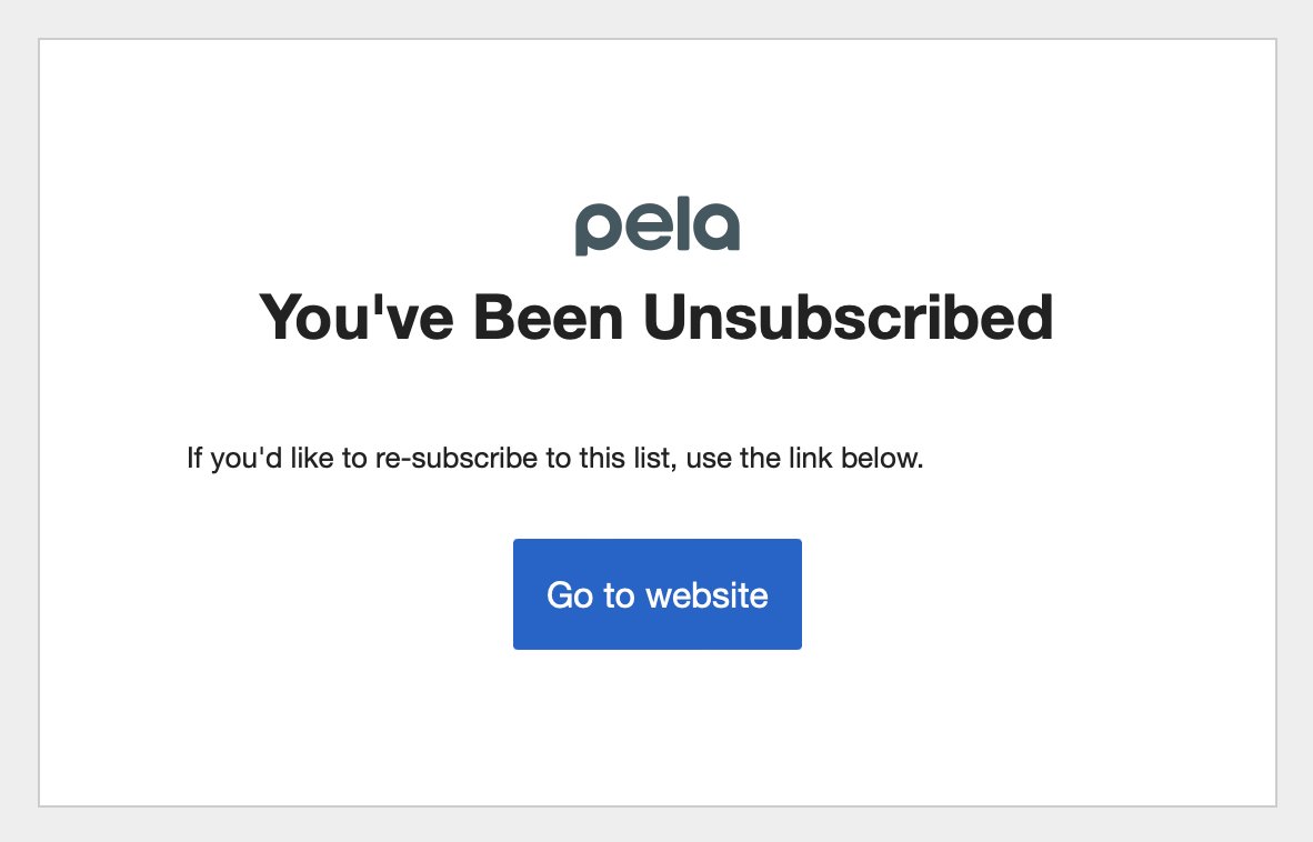 Pino 🐘 tweet media