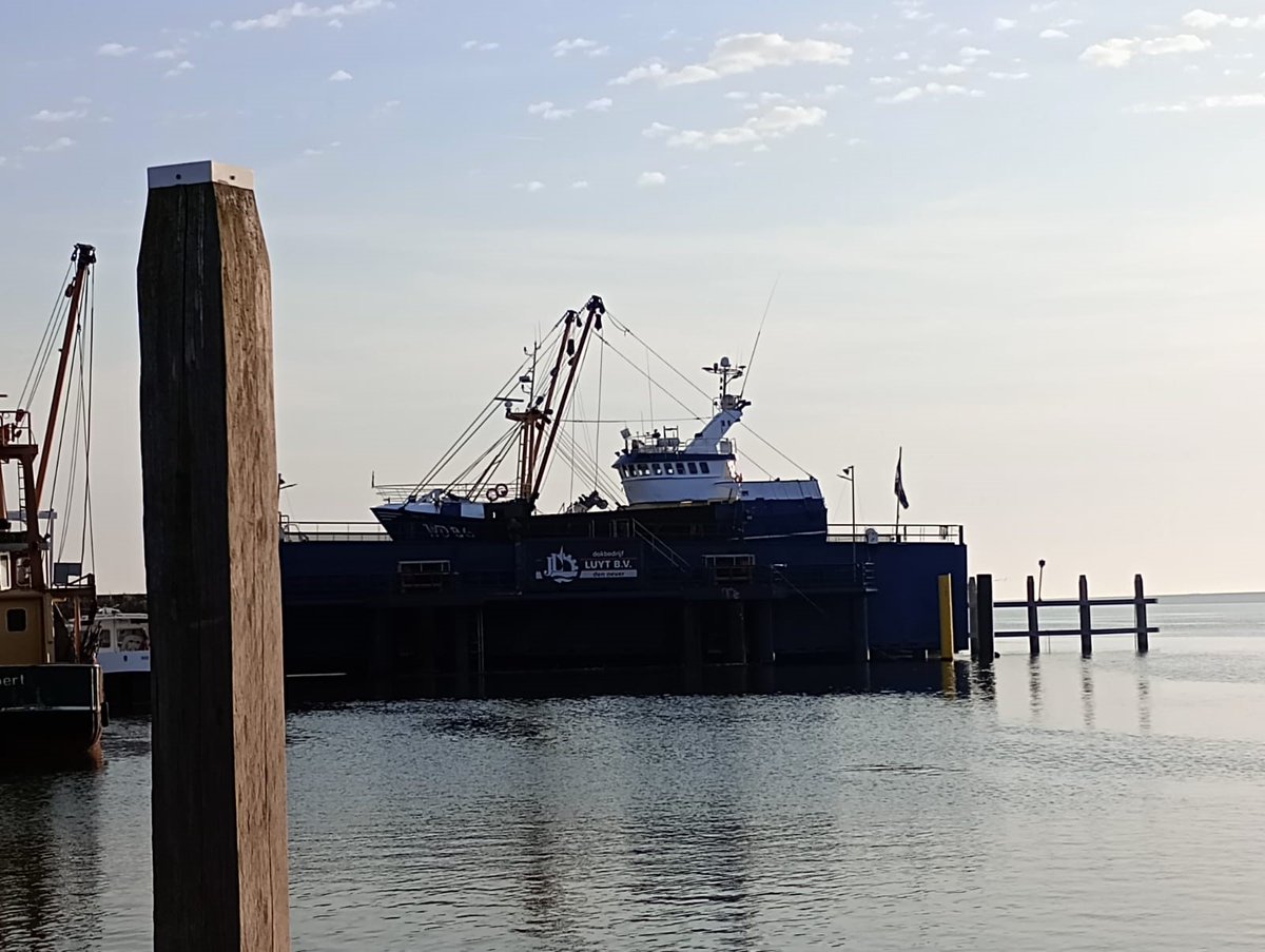 LuytGroep's tweet photo. Volop #bedrijvigheid op vroege maandagochtend. Na een lange zeereis van 60 uur vanuit het Ierse Kilmore Key laten we de 'Lady Lu' WD-86 niet wachten en zorgt onze #Dokploeg ervoor dat de Ierse #scalloper na aankomst gelijk om 6.00 uur het dok kan invaren voor jaarlijks onderhoud https://t.co/rX96LvASwI