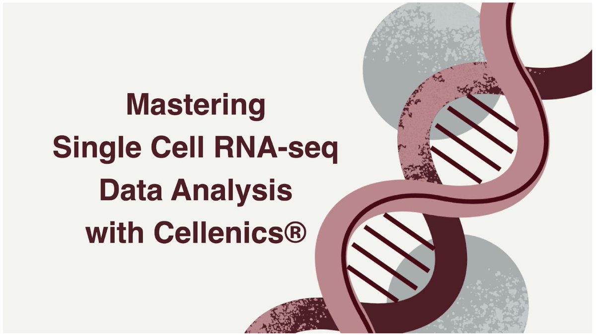 Discover the secrets of single cell RNA-seq data analysis in our latest blog post about our online course! ✅Tailored for biologists ✅Dive into data without coding using Cellenics® ✅Videos, PDFs & 1-2-1 support Read more: biomage.net/blog/cellenics… #scRNASeq #singlecell #Cellenics