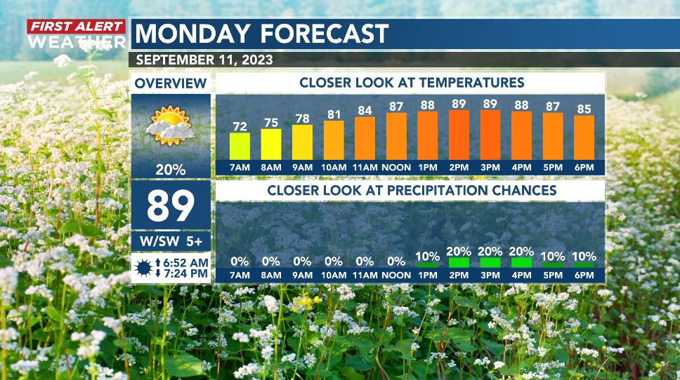 Gannon Medwick tweet media