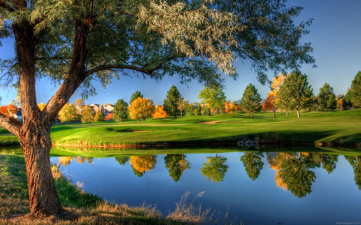 Enjoy a peaceful day on the golf course, surrounded by the beauty of nature. 🌳⛳️ #GolfingParadise #SereneScenery #NatureLovers #Nature #Photography