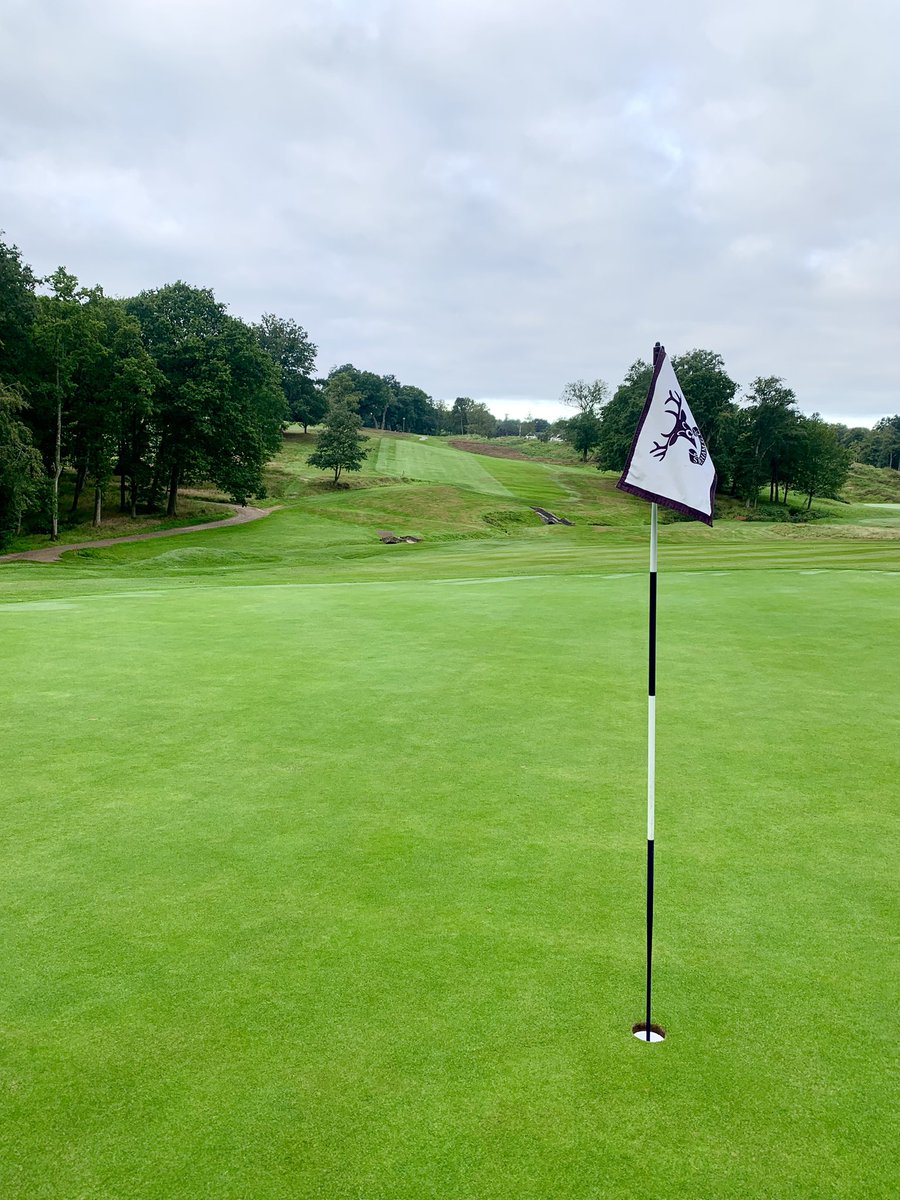 Stoneham Golf Club. Heathland? Parkland? It doesn’t matter either way, it’s a stunner. @StonehamGC #golftwitter