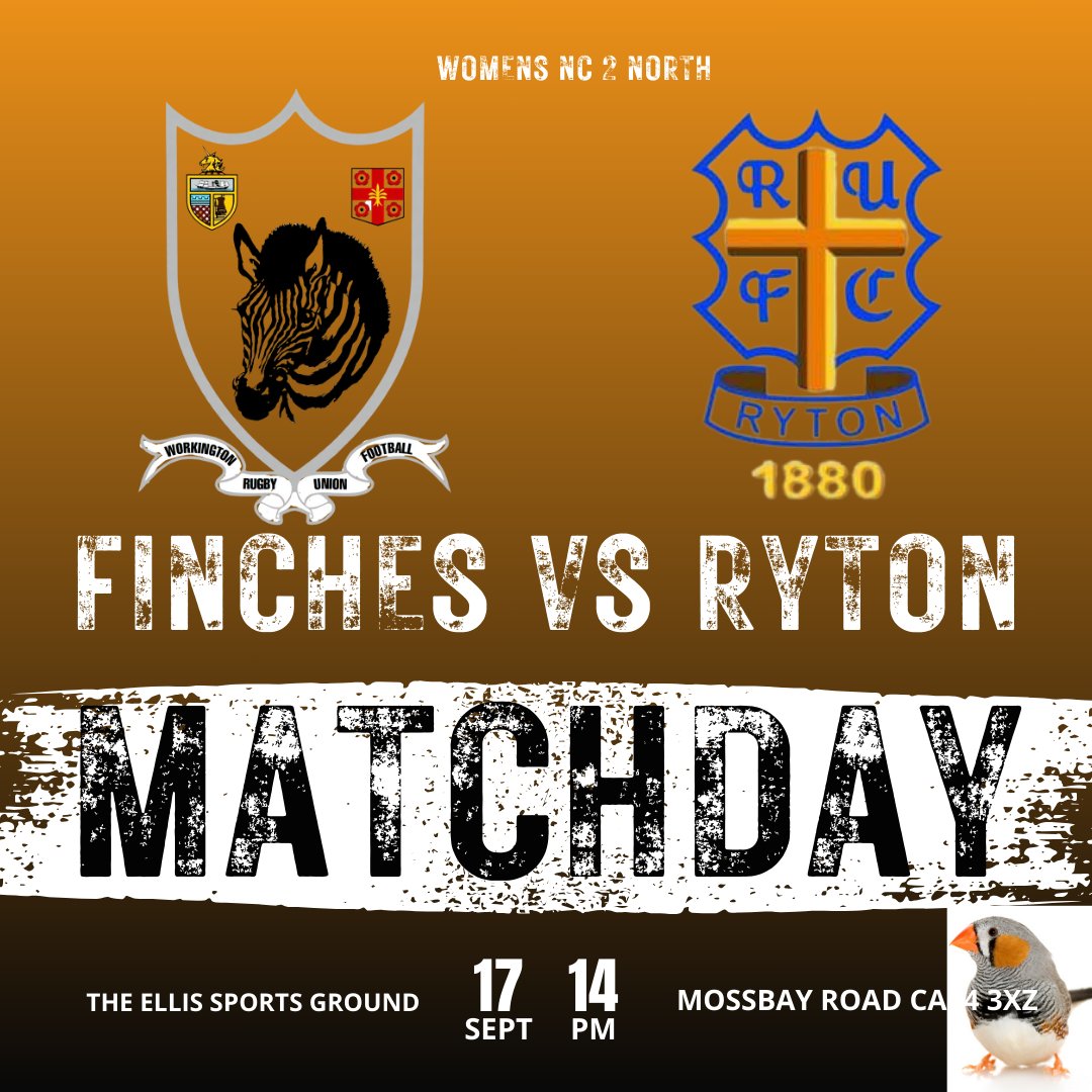 Workington Zebra Finches tweet media