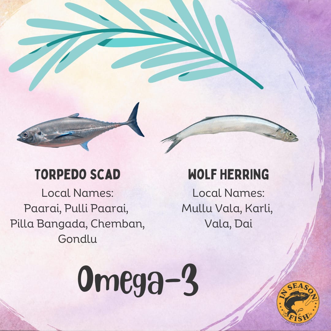 Torpedo scad - Rich in Omega-3 and Omega-6 fatty acids it is beneficial in lowering bad cholesterol levels. They are quite fleshy which is good for steaming, frying or grilling.

#six #fish #recommendations #inseasonfish #try #cooking #seafood #new #askforinseasonfish
