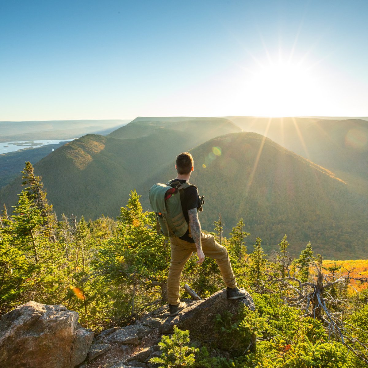 Cape Breton Island tweet media