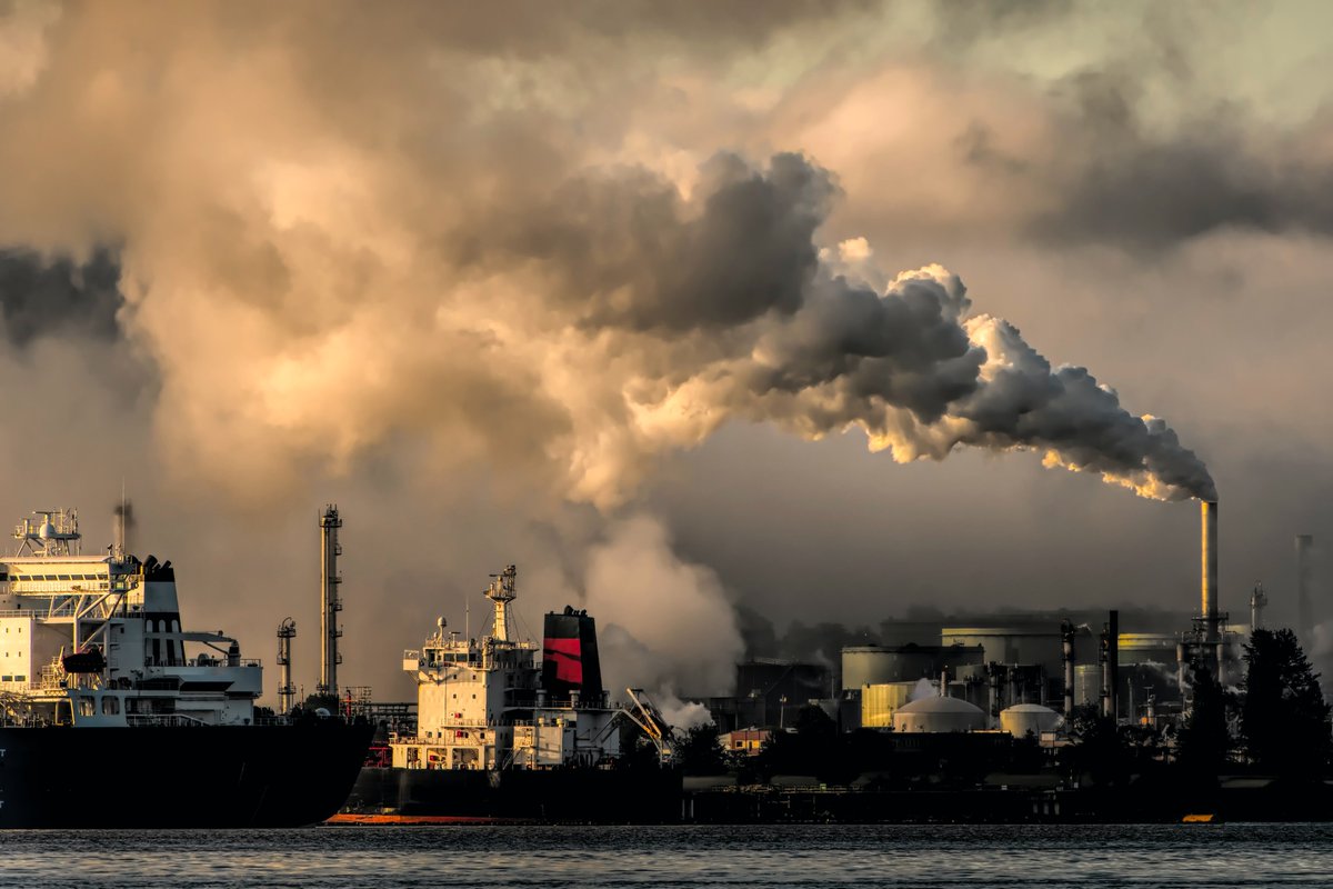 A decrease in demand sees 14 EU nations with record-low fossil fuel use during the first half of this year, but with a last-minute summer scorcher hitting Europe, numbers could be on the rise once again 📈

link.zerocarbonacademy.com/fossilfuels

#pollution #fossilfuels #climatechange #netzero