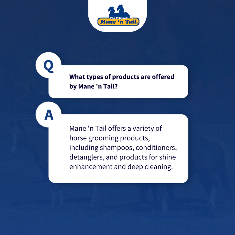 ManeNTail_EU's tweet photo. Unleash the power of Mane 'n Tail's grooming magic! 🐴✨ 

Originally designed for horses, our products have become a human hair care sensation too. 🐎➡️💁‍♀️ 

Join the Mane 'n Tail family, and let's shine together! 💫🐴💁‍♀️ 

#ManenTail #GroomingEssentials #HairCare https://t.co/Pj3ZSmivbU