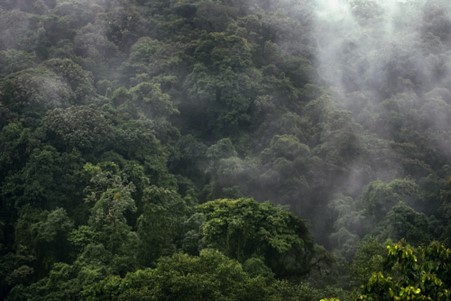 The cloudy world of carbon offsets – Our latest insight looks into the growing REDD+ deforestation scandal and the worrying claims that these offsets could be doing more harm than good.

link.zerocarbonacademy.com/offset

#deforestation #carbonoffsets #netzero #climatechange #nature
