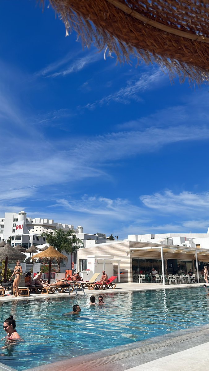 Daymo Alexander tweet media