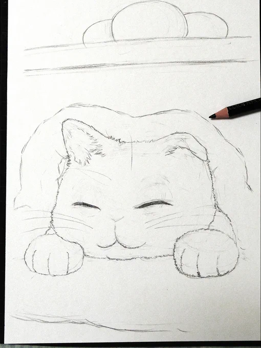 最近立て続けに猫さん色鉛筆画を描いてます来年の卓上カレンダーに使いたいからですってことで次はこたつ猫さんを描き始めました!#鉛筆画 #色鉛筆画 #wip 