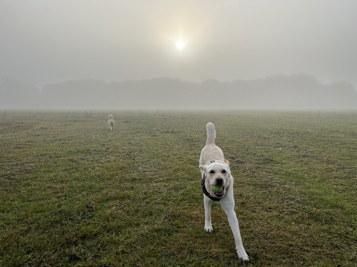 lab_script4122's tweet image. Getting closer!  There are still a couple of spots left for our online screenwriting workshops beginning tomorrow evening. Just get in touch!