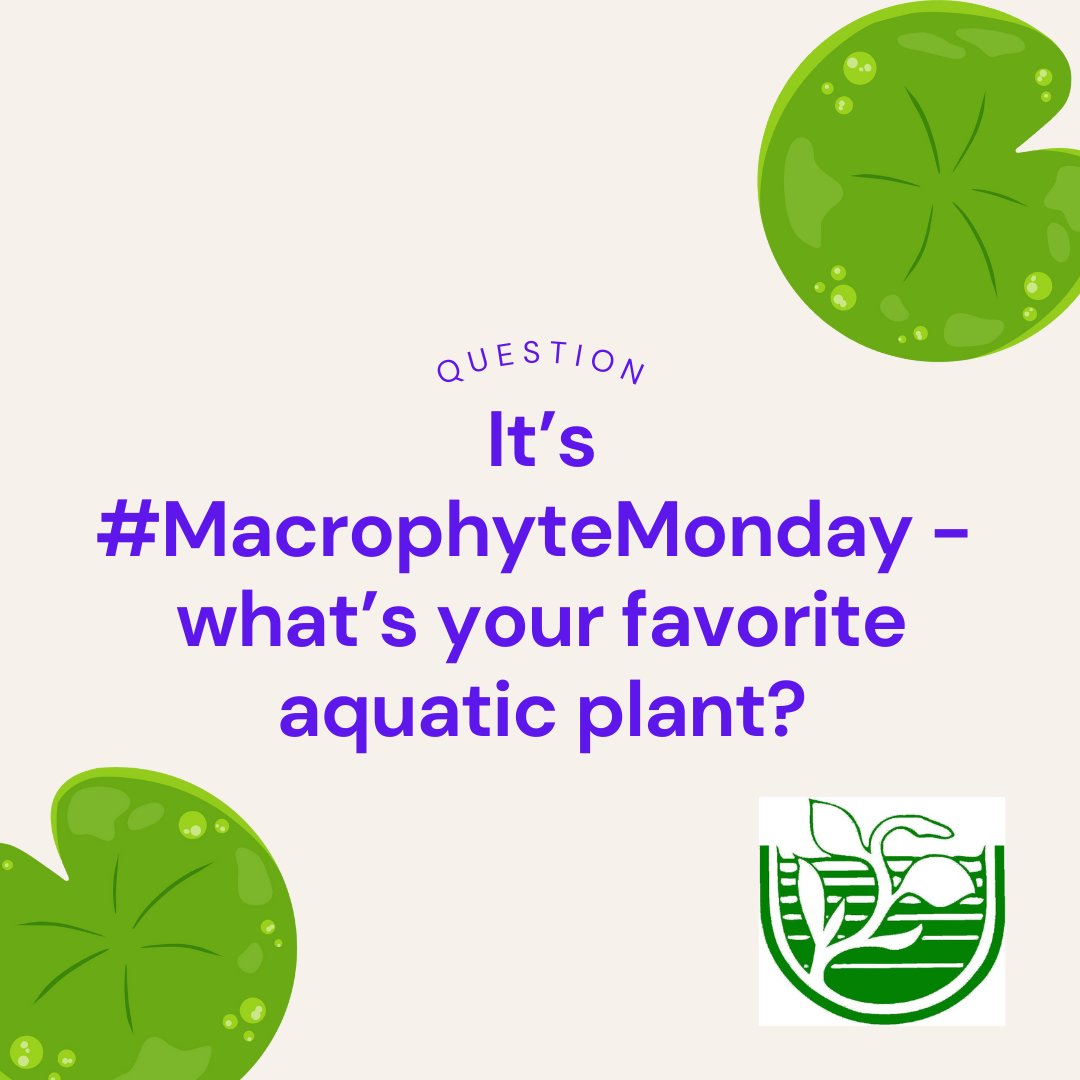 scapms79's tweet image. #Macrophytes are plants that grow in, on, under, or near the water. These #aquaticplants provide beneficial ecosystem services - like food, habitat, refuge, sediment stabilization, oxygen, etc.

What is your favorite #macrophyte &amp;amp; why?

#MacrophyteMonday #SCAPMS