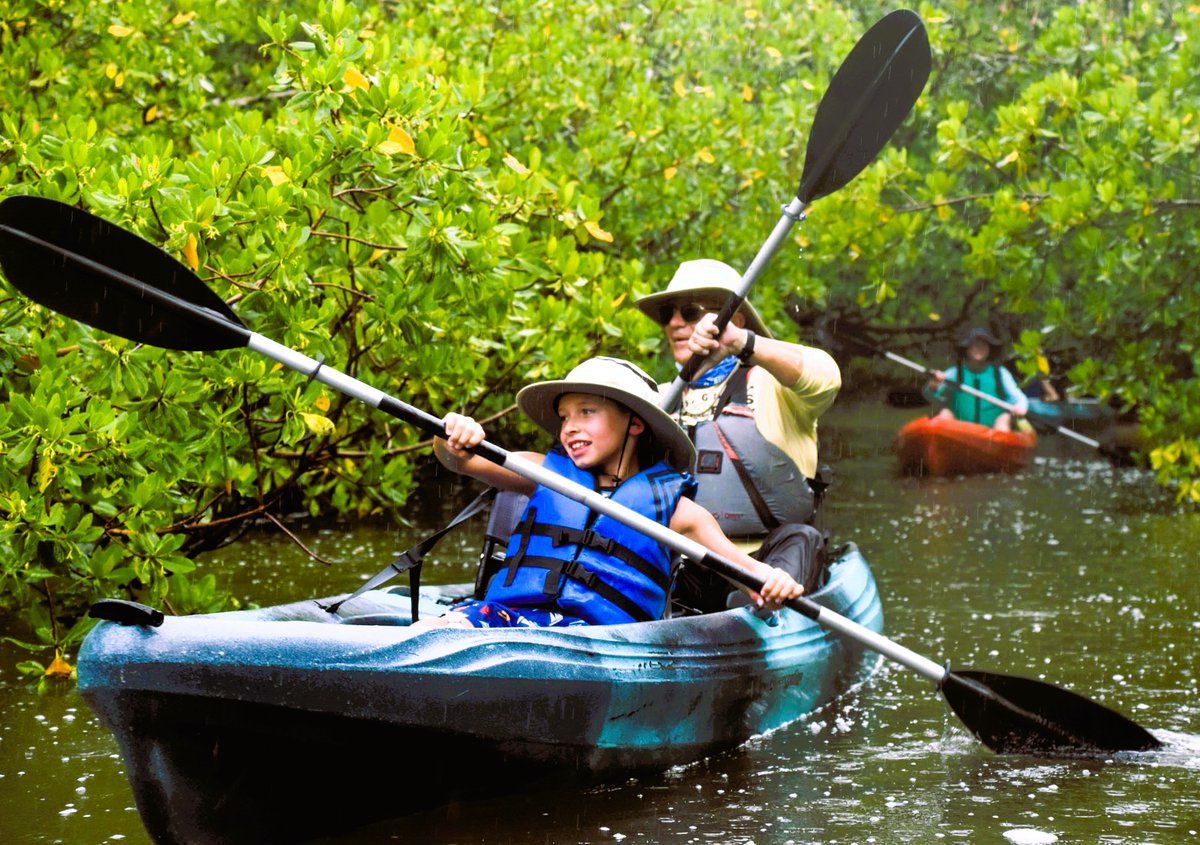 RisingTideFL's tweet photo. Put a paddle in your kid's hands, take them through a mangrove tunnel, and watch what happens! I DID IT! #RisingTideFL #NaplesFL #kayak #jwmarcoisland #getthekidsoutside #naplesfloridatravelguide #environmentaleducation #nature #science #familyfun #visitflorida #MangroveMonday https://t.co/jqWPRDieON