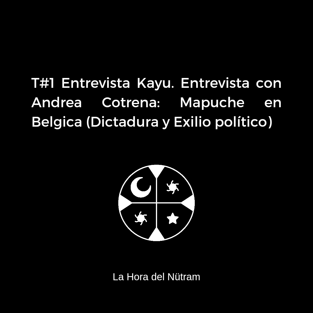nutram_'s tweet photo. Hicimos una pequeña selección de entrevistas que hay en este bonito podcast que pueden ayudarnos a entender el presente de nuestro pueblo nación, con esta patita importante en la historia que comienza hace mas de 50 años.

Lemoria Kom eymun 🖤 https://t.co/tVLIJYJ3wn