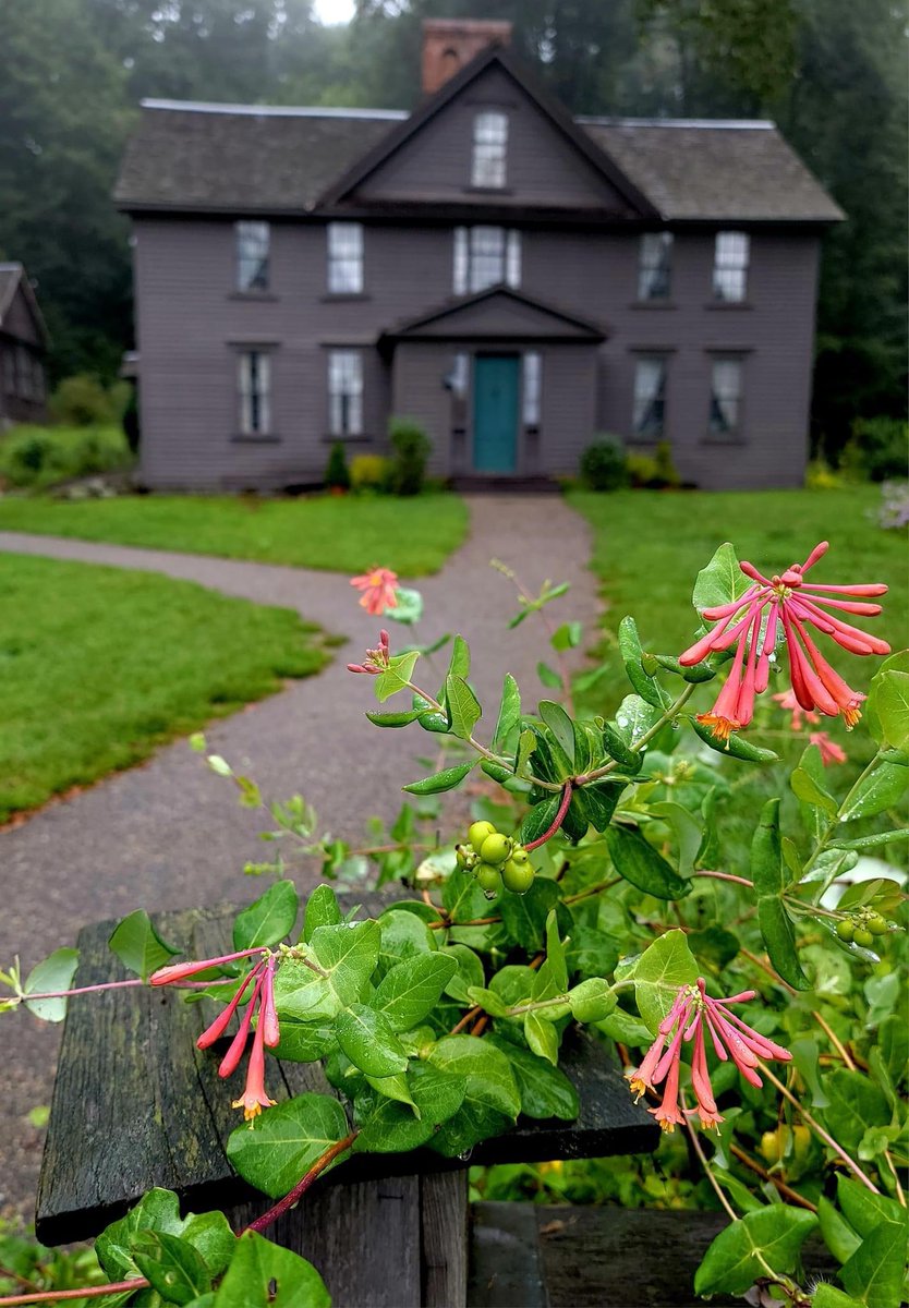 Our rain-kissed Honeysuckles, perhaps personifying tears from Heaven and on Earth, remind us to "Never Forget" . . .  9.11.2001
