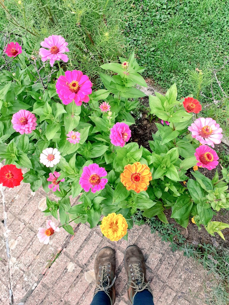 Luliirvalbu's tweet photo. Carrete veraniego
🐺🍃🌸🌿🌼🌺🌞
#Horcadas
#leonesp 💘🦁 https://t.co/APezCNfEty