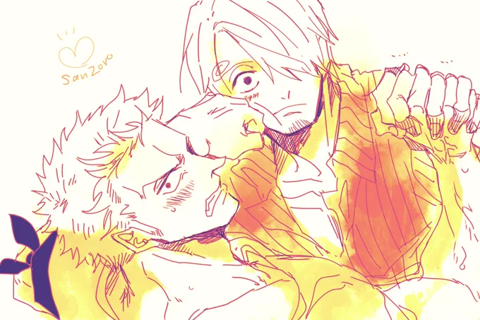 気をつけろ!!!!!!!!!!!!!サンゾロしか描きません!!!!!!!!! 