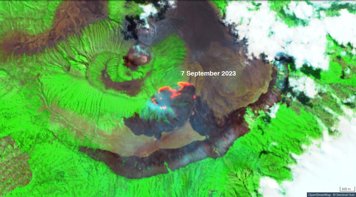 louislugas's tweet photo. Abis cek foto satelit bromo, ada yang aneh:
28 Agustus: masih bersih
2 September: sudah ada hitam2 bekas kebakaran (677 ha?)
6 September: kejadian foto prewed yang bikin kebakaran
7 September: ada bekas kebakaran dan masih ada api (264 ha?) https://t.co/67m35ycdT3