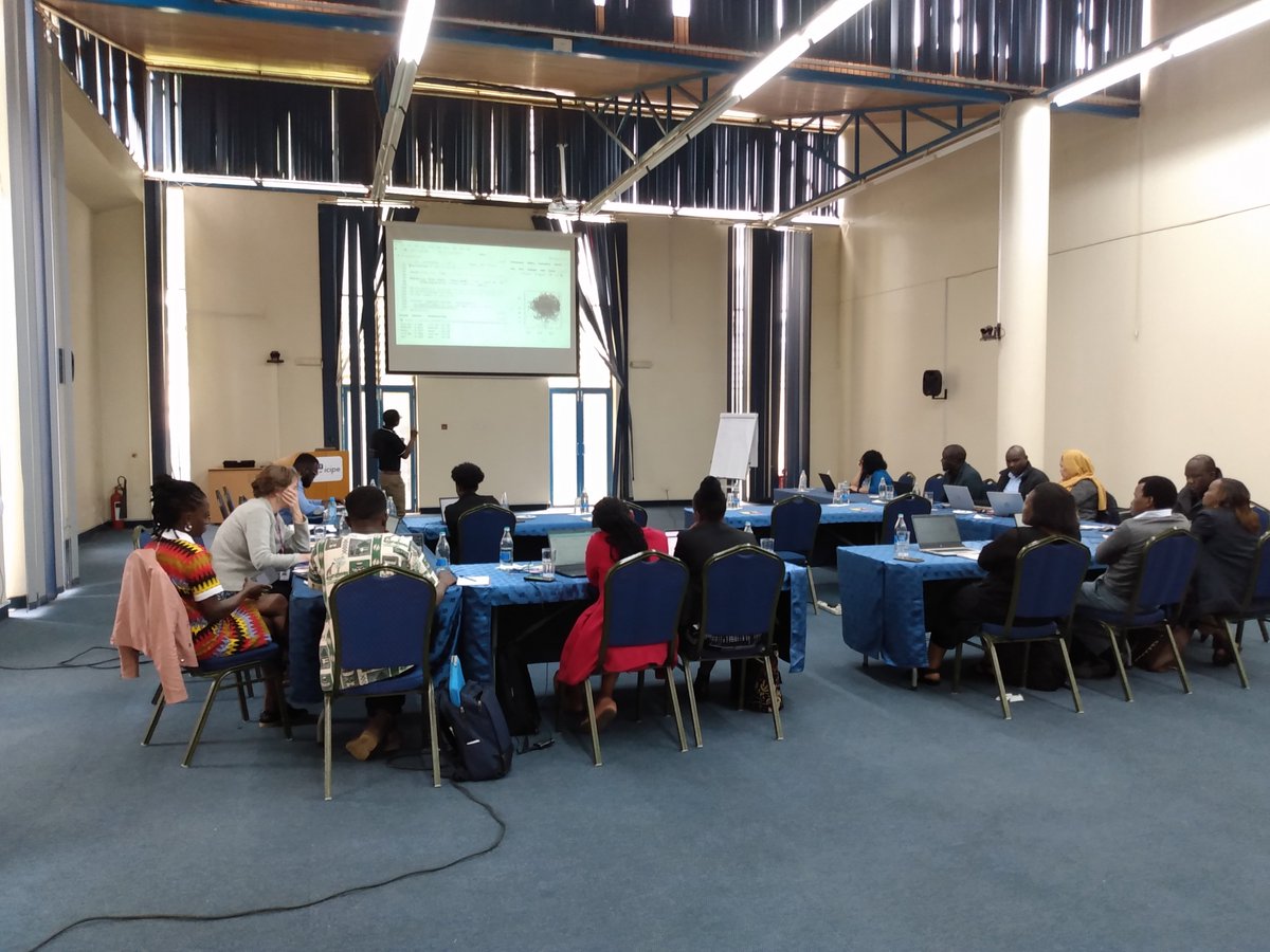 In Nairobi at a workshop with IITA, ICIPE and other CGIAR researchers. Chawezi Miti is presenting statistical methods for boundary line analysis. How could these methods could be used to help CGIAR identify causes of yield gaps. @UoNFutureFood @CGIAR