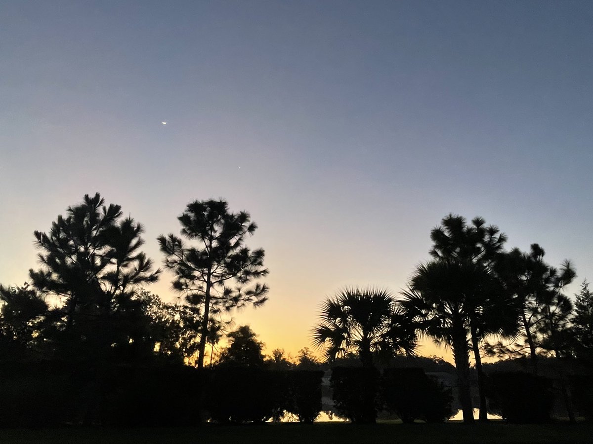 twotrees's tweet image. “Breathing in,
I establish myself in the present moment.
“Breathing out,
I know this is a wonderful moment.
Present moment,
wonderful moment.”
Thich Nhat Hanh