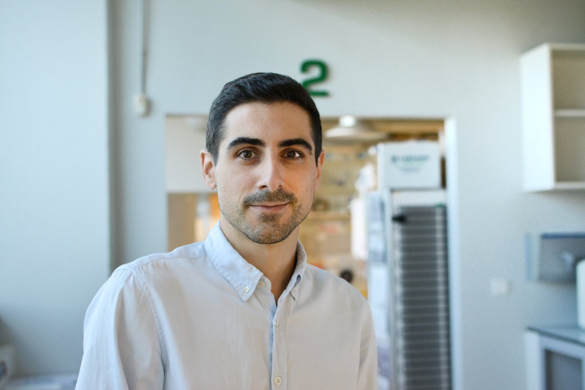 cimususc's tweet image. 🆕“La #obesidad debe ser considerada una enfermedad y tenemos que incrementar la inversión en su investigación para entender la patología”. Lo cuenta el nuevo IP #CiMUS @IsmaelGlezGcia en esta entrevista 👇
🔗bit.ly/3LgKXiZ