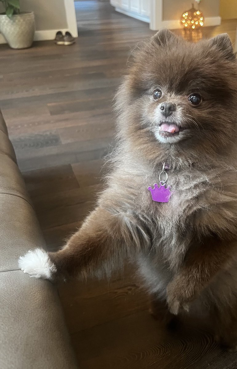 Ashley Perkinson tweet media