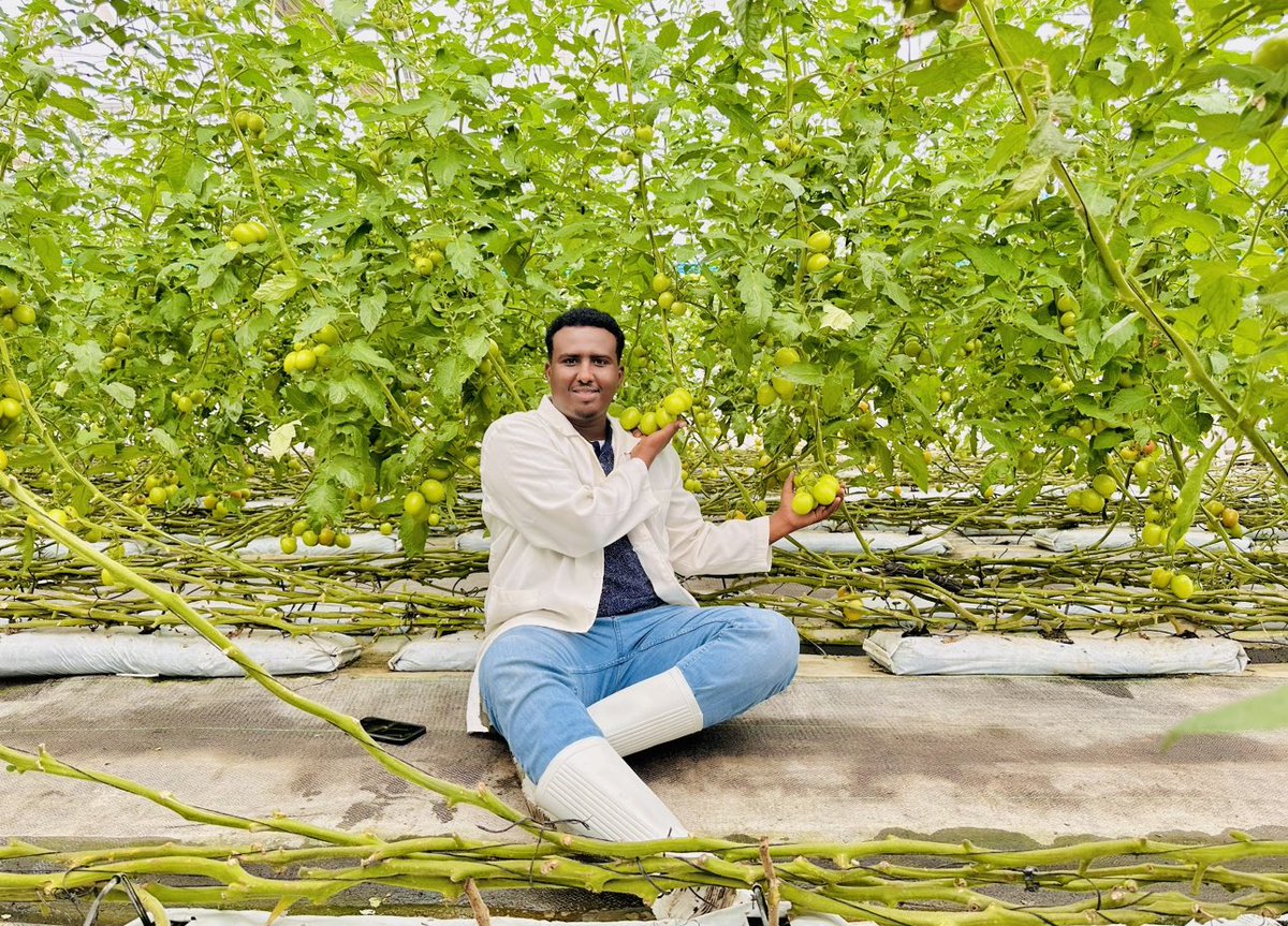 musse408's tweet photo. The high demand for fresh vegetables in our country 🇸🇴 is increasing day by day. If you are thinking of getting into farming, now may be the best time, our company Hecter Agri Tech is dedicated to helping you succeed in agriculture.

#LetsGo
#Somalifarming https://t.co/AtcZbO2rjV