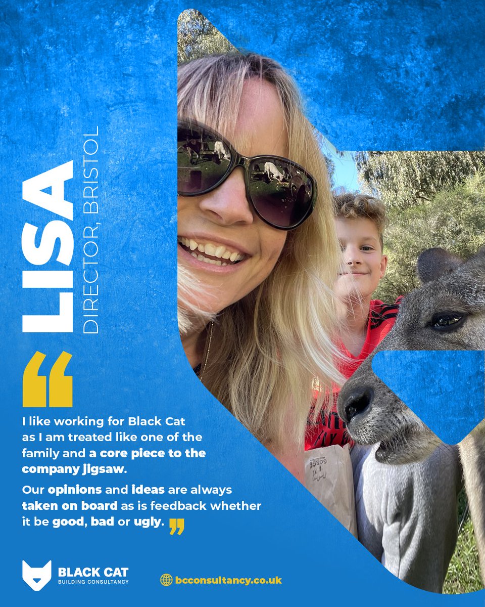 Black Cat Building Consultancy tweet media