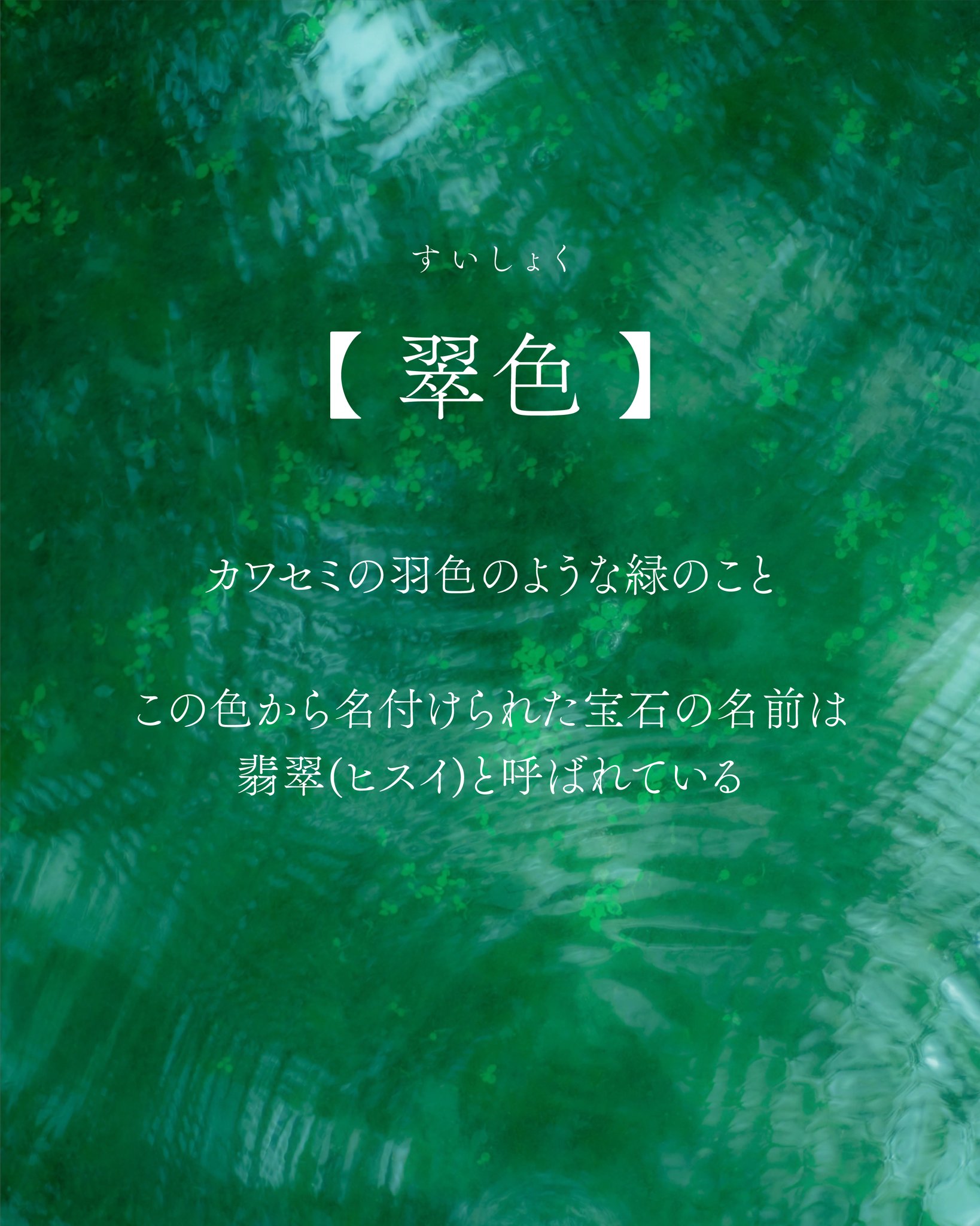 詩歌　天然翡翠　100%本物保証　トカゲと蓮　薄い緑　黄色い　可愛い 24797-1.jpg