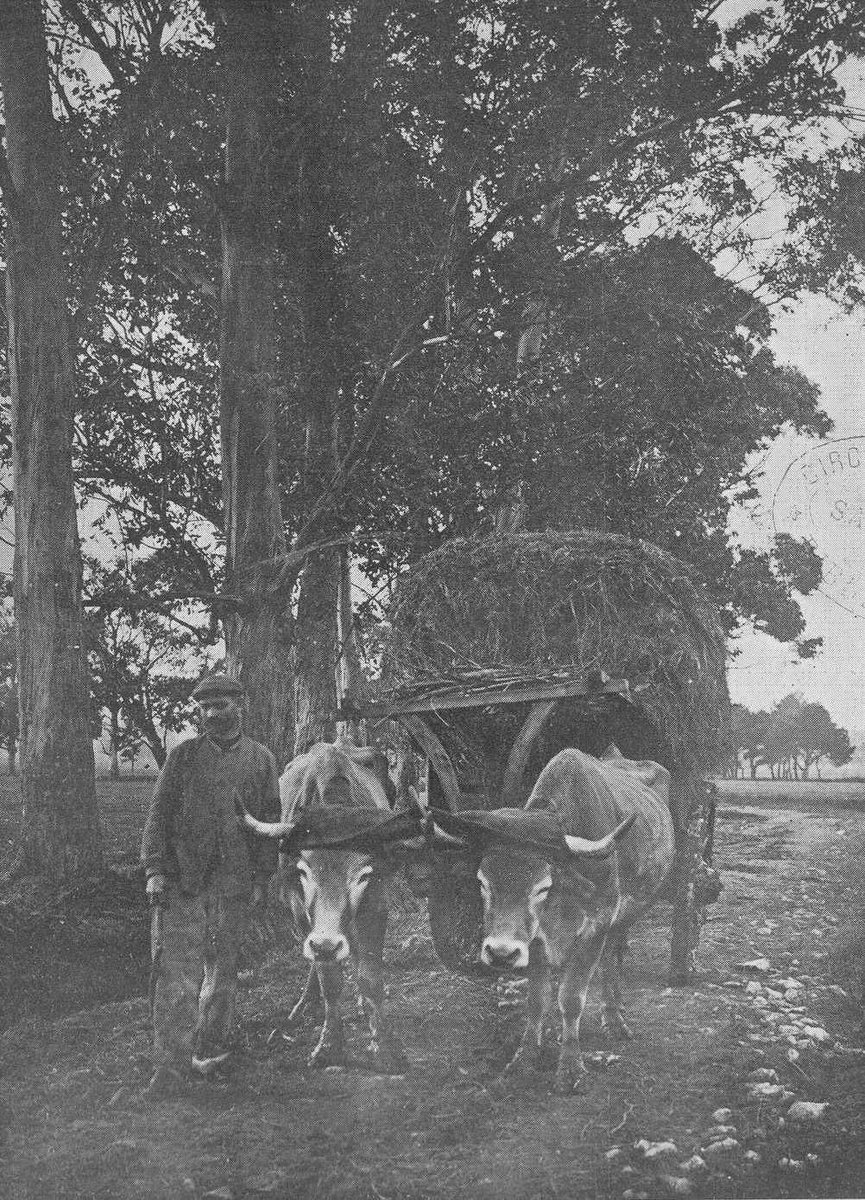 Astillero, Regreso de la siega, 1917