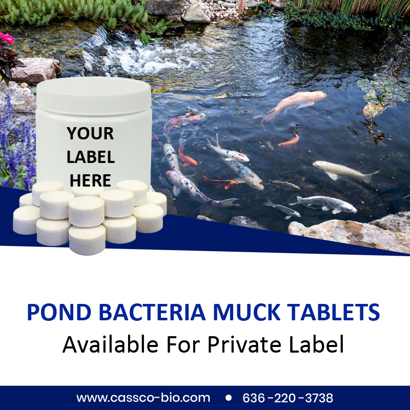 CassCo has been producing and privately labeling natural pond products for over 25 years. We offer a full line of water treatments for private labeling. Our pond bacteria (1/3 oz Muck Tablets) is 100% natural and contains 7 strains of beneficial Bacillus bacteria.