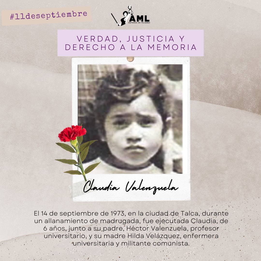 AML Defensa de Mujeres tweet media