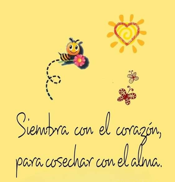 💟☀️💟☀️💟☀️💟