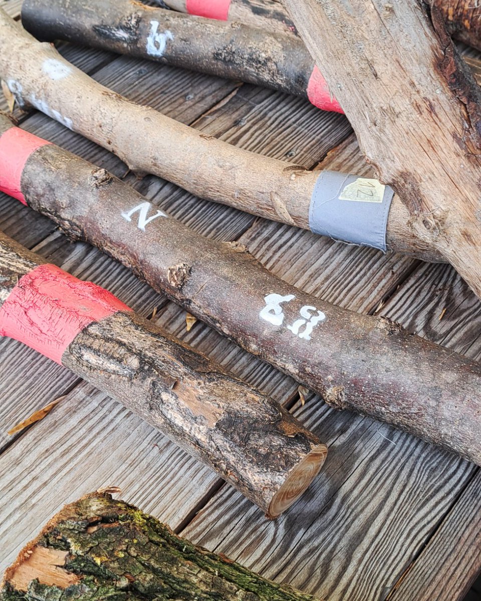 IED Kunsthal tweet media