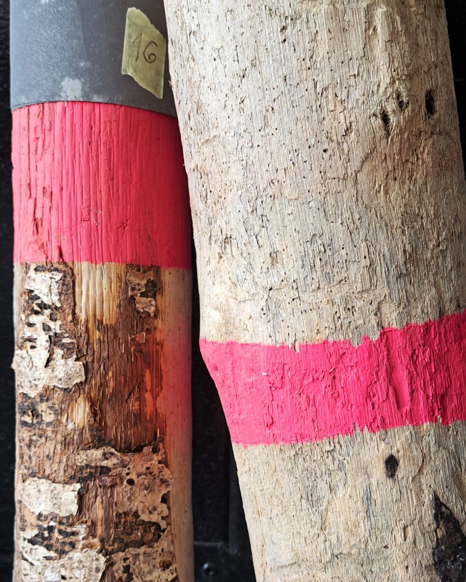 Algo se está cociendo en IED Kunsthal Bilbao para Artha 2023... 🤫

#iedkunsthal #iedbilbao #findyourdifference #designyourself #artha2023 #heritage #territorio