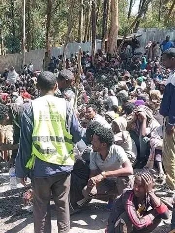 mohammed_meaza's tweet image. Abiy Ahmed Ali is  holding tens of thousands of Amharas in concentration camps in inhumane  conditions. Many are ding from diseases starvation and torture.
@SecBlinken @antonioguterres @washingtonpost @hrw @amnesty @guardian @USEmbassyAddis @PowerUSAID @MikeHammerUSA