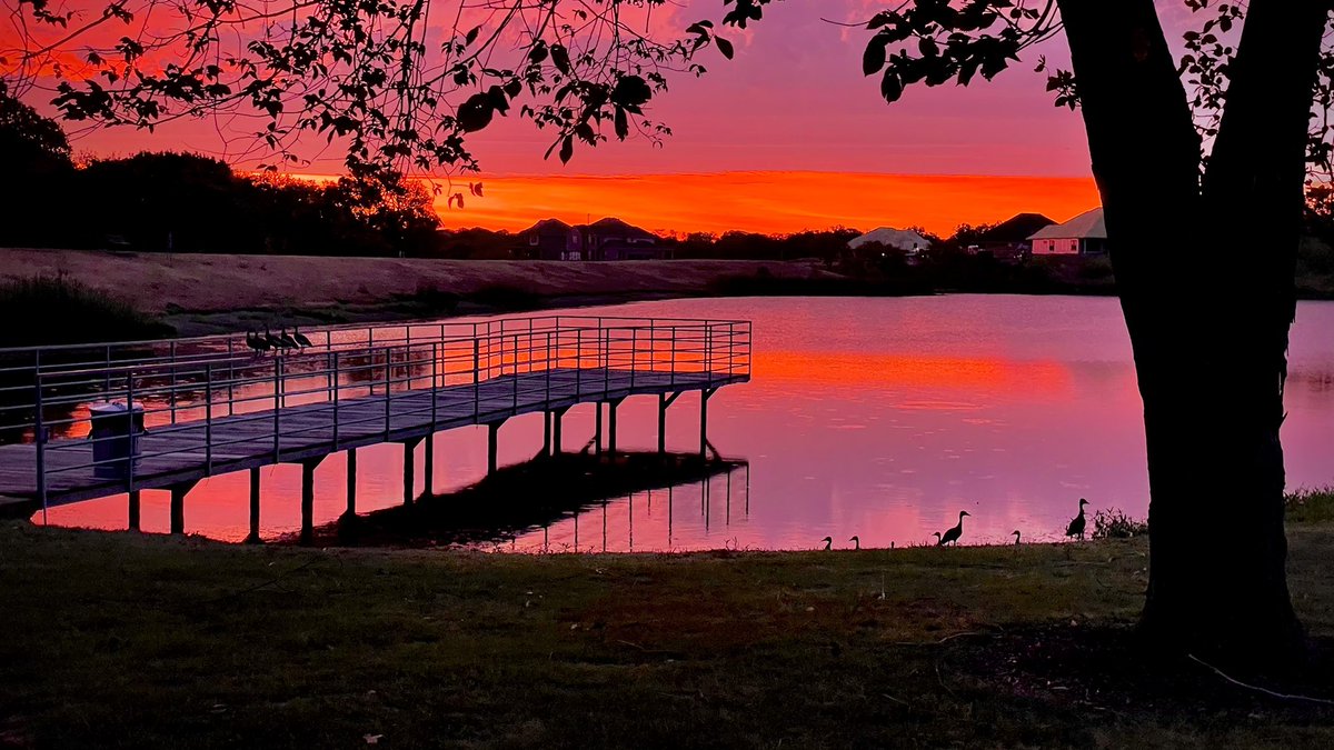 RickyFuchs2's tweet image. “The earth is the Lord’s, and all it contains, The world, and those who dwell in it. For He has founded it upon the seas And established it upon the rivers.”
Psalms 24:1-2