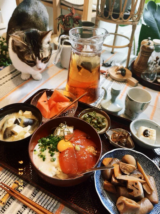 お味噌汁作ってマグロの柵を漬けにしただけだけど。今年最後のスイカだなあーマグロ月見ネギとろろ丼(麦飯)茄子とえのきの味噌汁、茄子の煮浸し、レバー煮、冷奴。あと鶏むねで筑前煮。引き続き脂質控えめ 