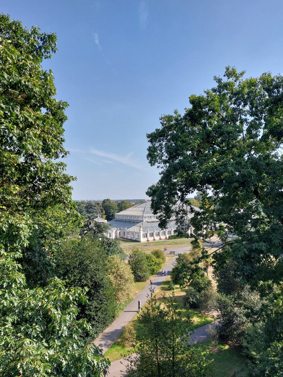 LondonWlogger's tweet photo. Definitely not ready for summer to end ☀️ @kewgardens https://t.co/KWKXlNw0KD