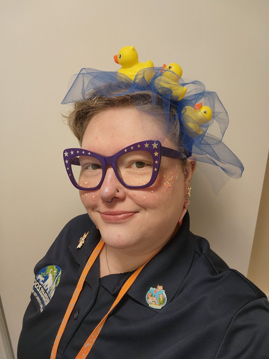 AvantZoo's tweet photo. This lucky ducky is off to work! Hope to see you there!

#zoo #DUCKIES #AvantZoo https://t.co/ZyK0YPqWno
