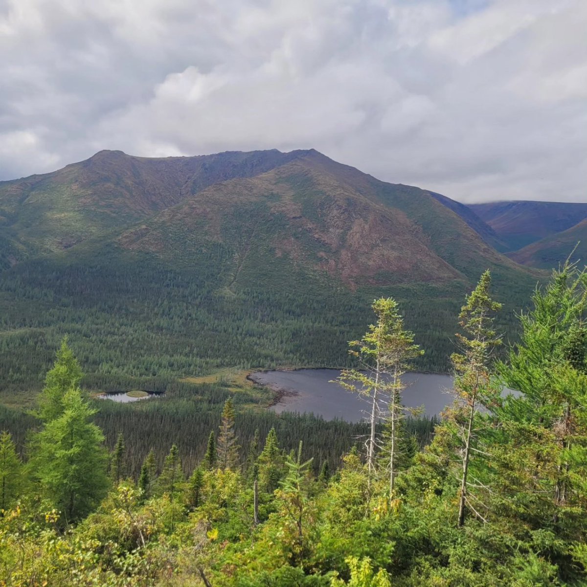 Vue à partir du sommet du mont Olivine #parcdelagaspesie 
❤️

As-tu une chanson avec Olivine @ArcyMelanie 😁