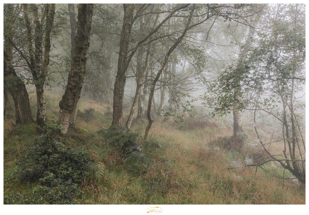 There's a certain romance to this one that I'm very fond of. I can't wait to see this area develop in the coming months.