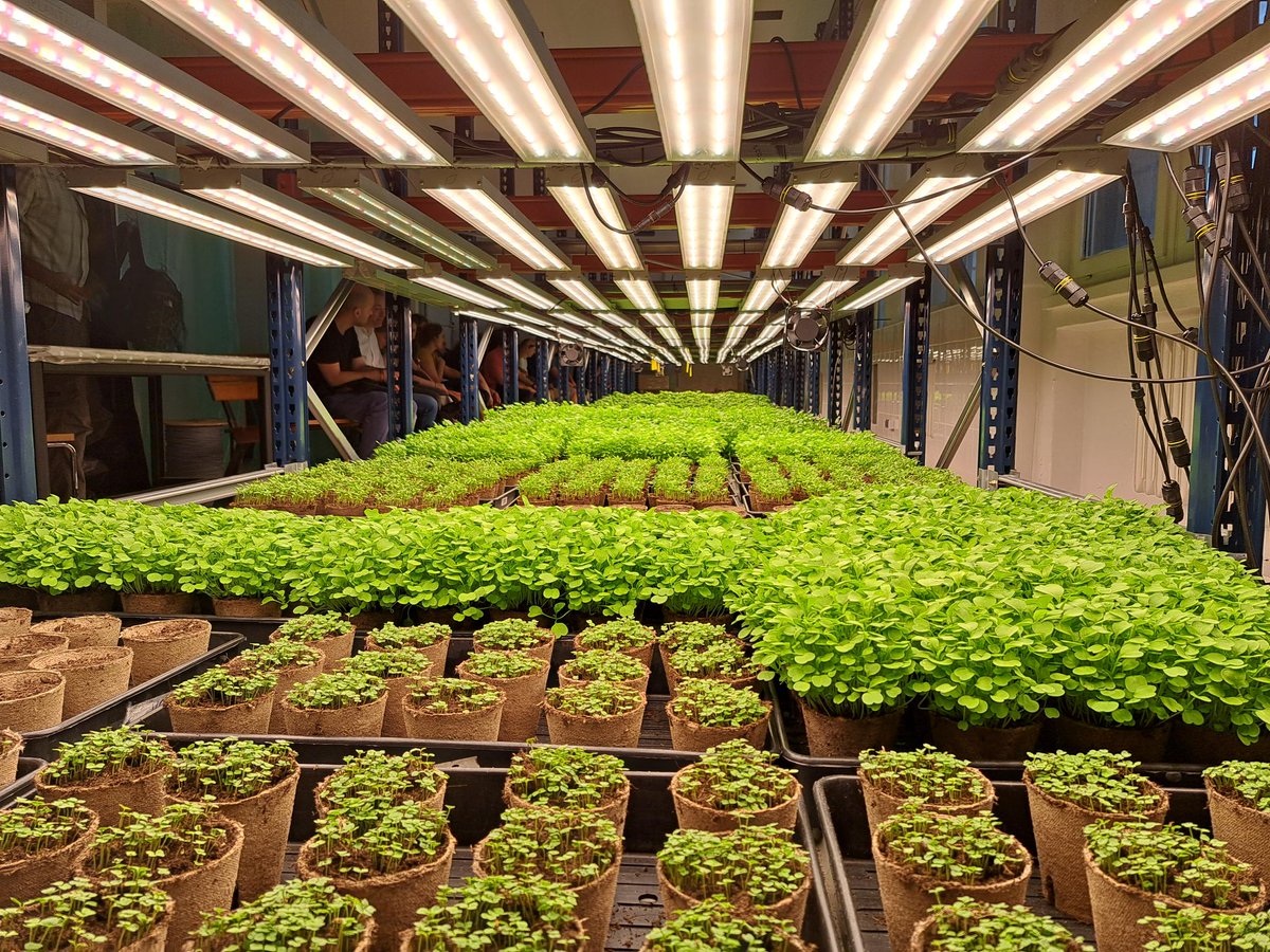 visionary_eu's tweet photo. One year of #Visionary! We're kicking off our second consortium meeting with a field trip to a vertical farm in #Warsaw including smapling some very tasty #microgreens. Thanks to Future Friendly Farm for opening your doors to us! https://t.co/eBEiKOB3K3
